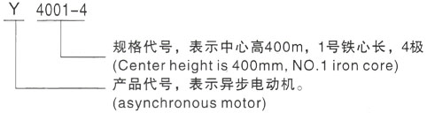 西安酷游Y高压三相异步电动机型号说明