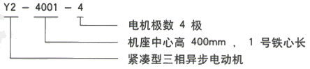 西安酷游Y2系列紧凑型高压三相异步电动机型号说明